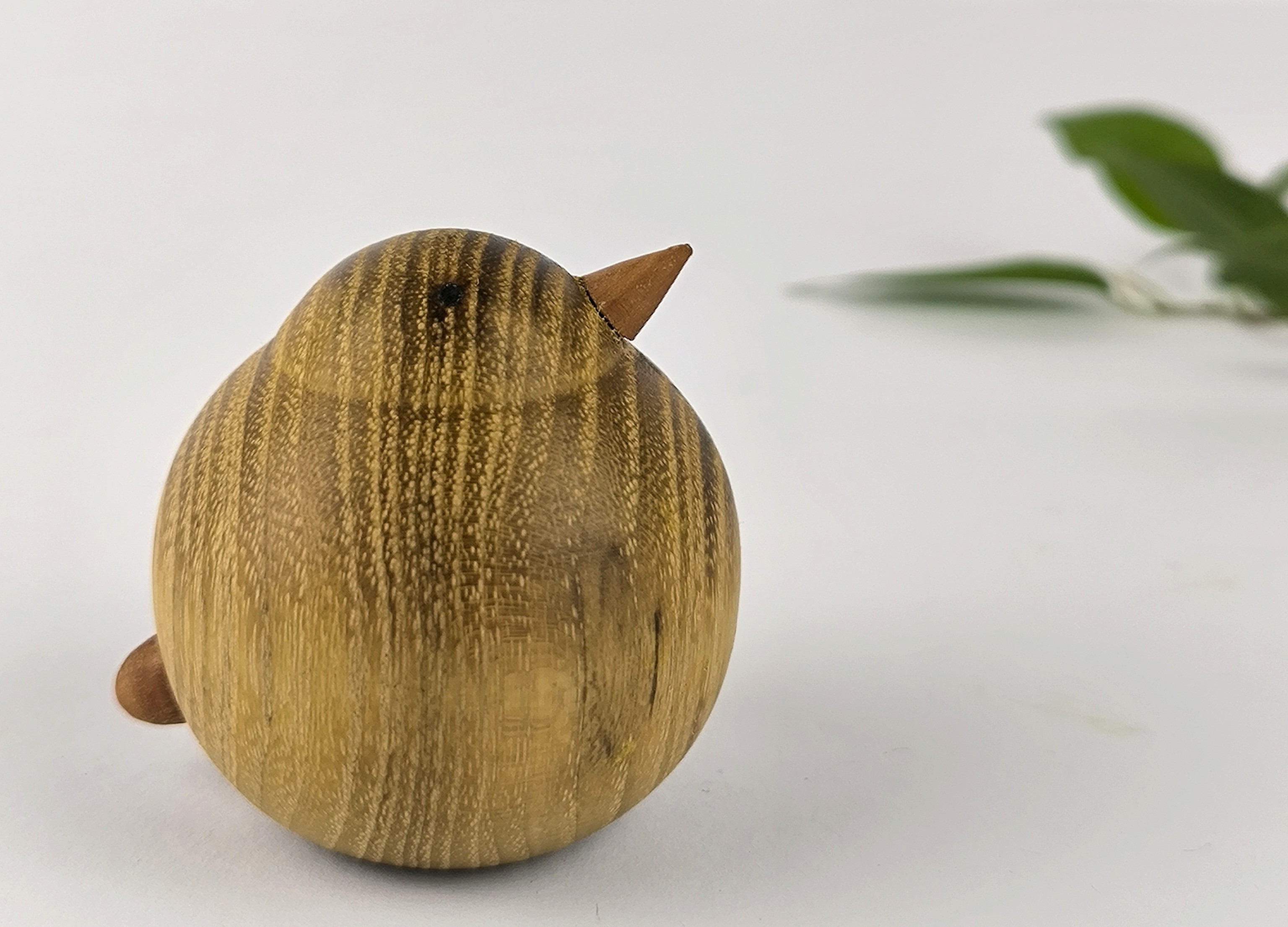 IMG_20250822_110821 (1)